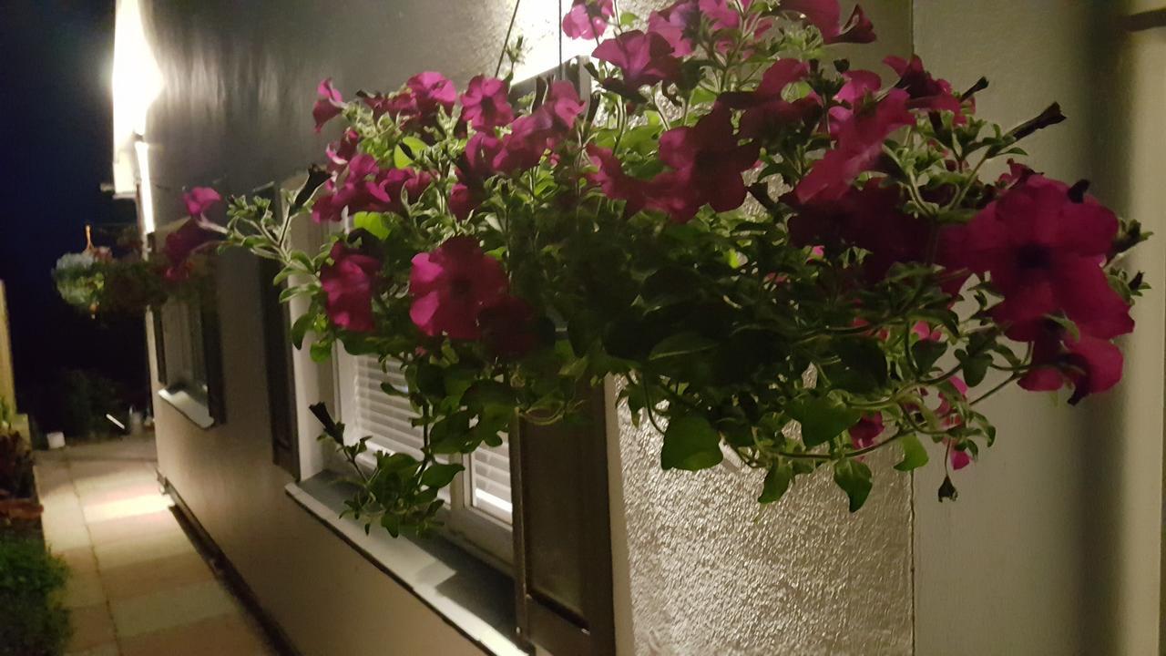 Marthys House With Hot Tub Looe别墅 外观 照片